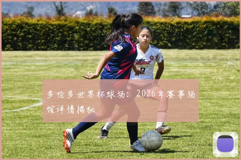 多伦多世界杯球场:2026年赛事场馆详情揭秘