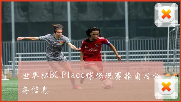 世界杯BC Place球场观赛指南与必备信息