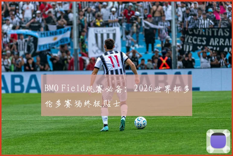 BMO Field观赛必备：2026世界杯多伦多赛场终极贴士